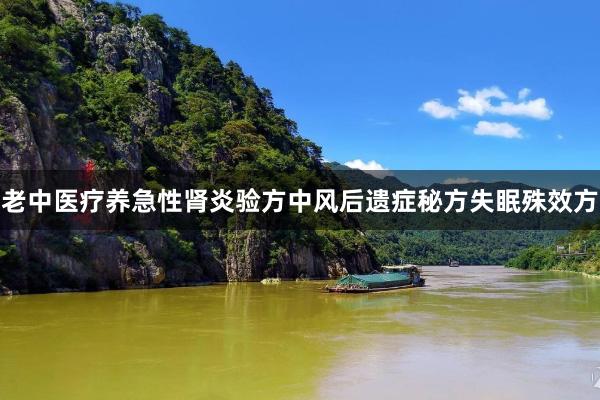 老中医疗养急性肾炎验方中风后遗症秘方失眠殊效方