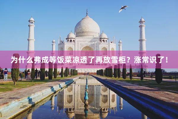 为什么弗成等饭菜凉透了再放雪柜？涨常识了！