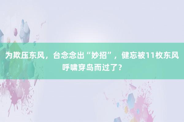 为欺压东风，台念念出“妙招”，健忘被11枚东风呼啸穿岛而过了？
