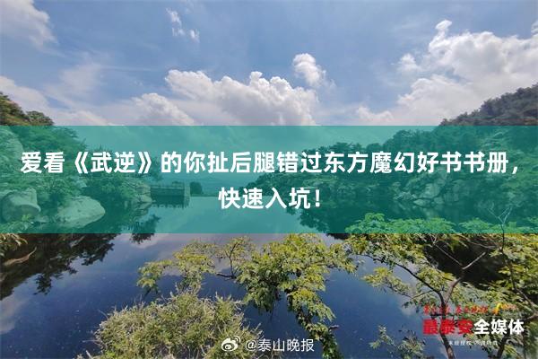 爱看《武逆》的你扯后腿错过东方魔幻好书书册，快速入坑！