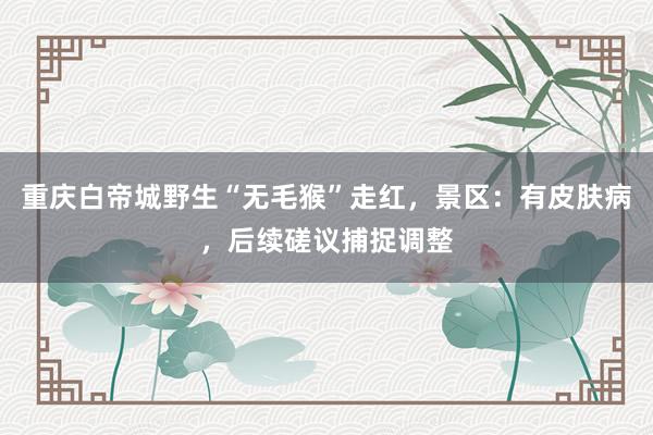 重庆白帝城野生“无毛猴”走红，景区：有皮肤病，后续磋议捕捉调整